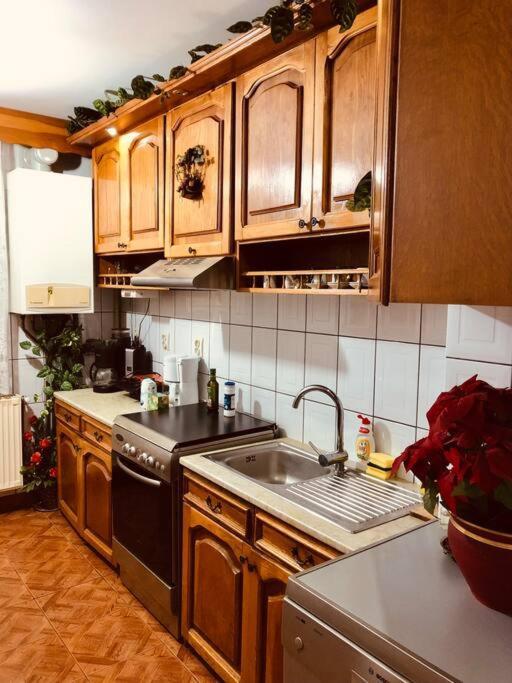 Joy City Stay Ferkel 7 Timisoara Exterior foto